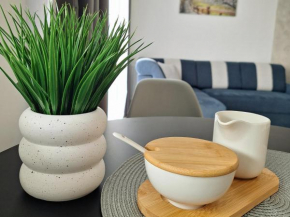 Apartament Grey Polana Szaflarska